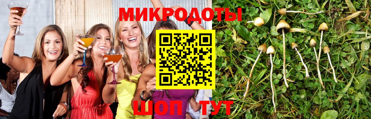 Белая Калитва  Галлюциногенные грибы Psilocybe  Вход с VPN 